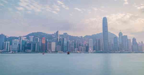 通全球加速官网,黑通道加速器官网